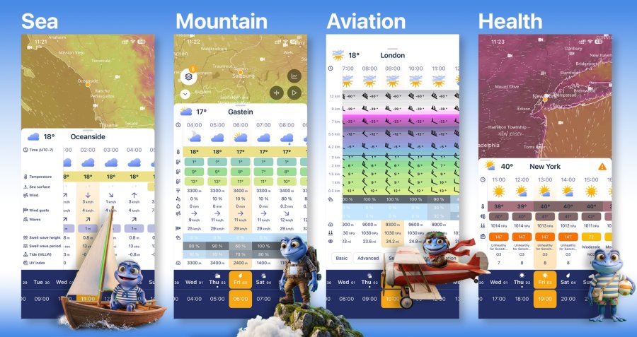 Activity Forecasts