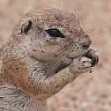 wodo die Klickfee
